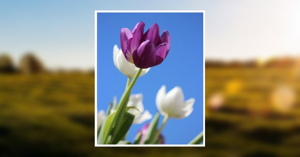 Alice Parker Obituary 2021 Grenoble Funeral Home, Inc and Cronrath