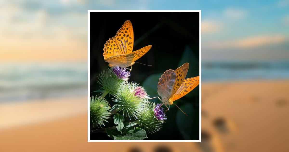 Calinda J. D. Rosen Obituary, Longwood, FL