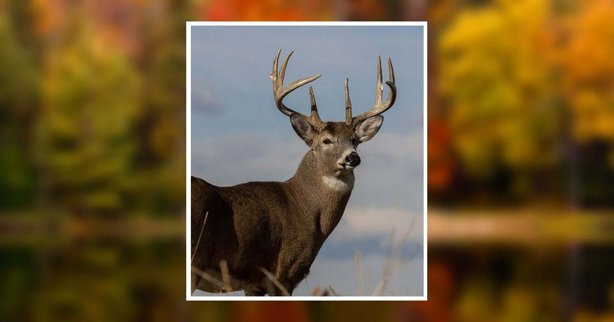 Bruce A. Wolfgang Obituary, Mahaffey, PA