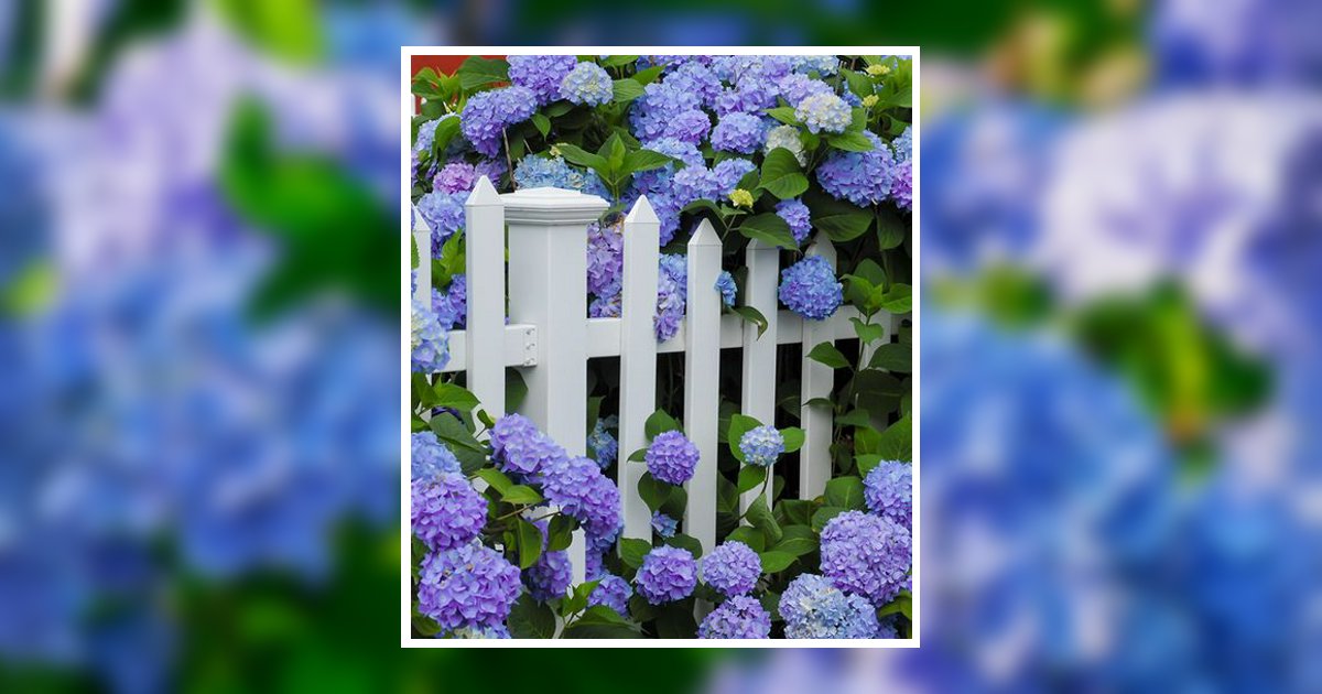 Dianne Kay Simpson Obituary, Post Falls, ID