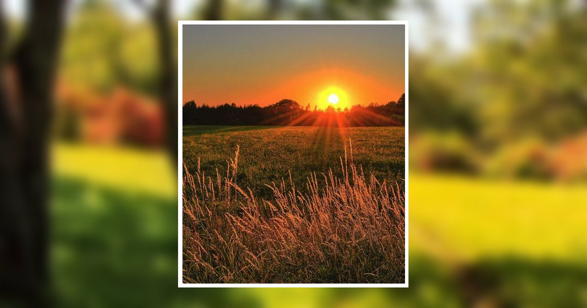 John Wesley Mealer Waynesboro, TN Obituary