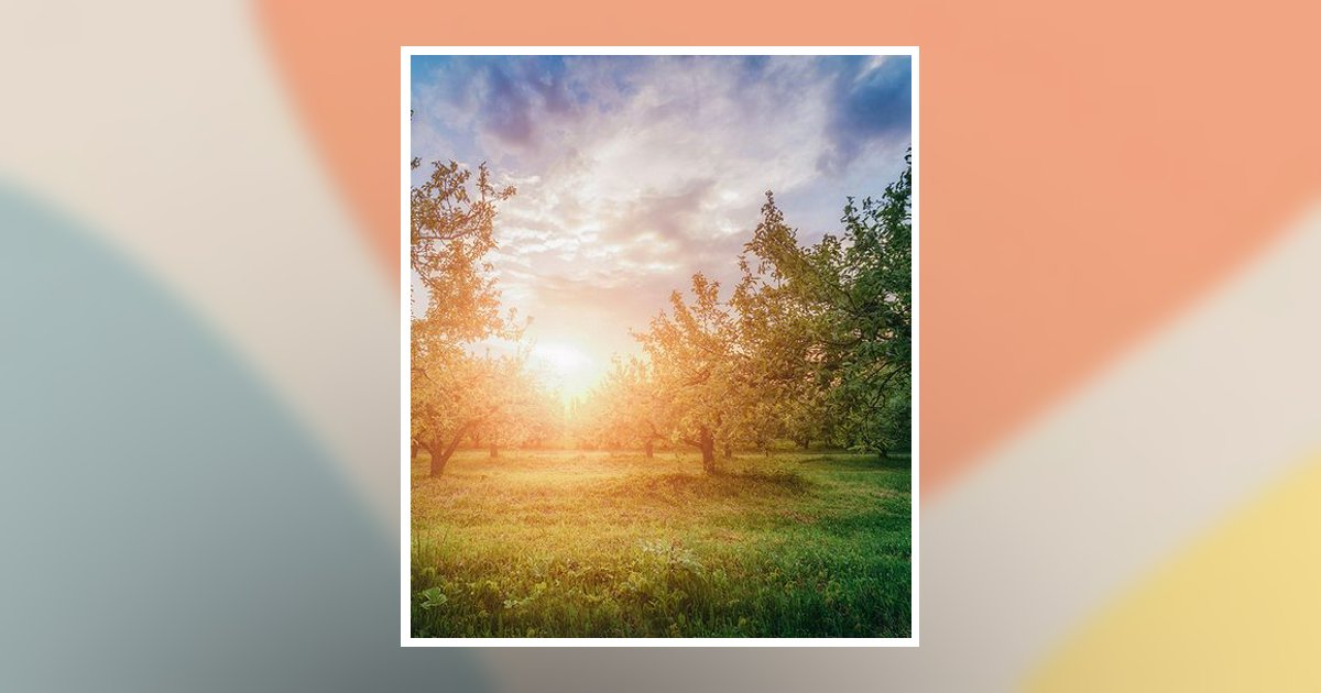 Janet R Watson Obituary, Wilmington, OH