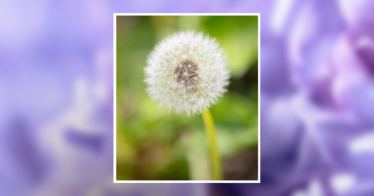 Vera Lee KizerDavis Obituary, Sikeston, MO