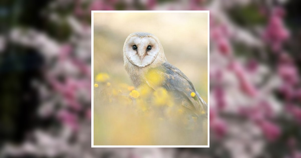 Marlene M. Reph Obituary, Coudersport, PA