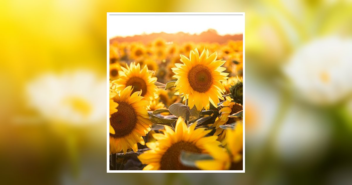 Marie Aviles Ashdown