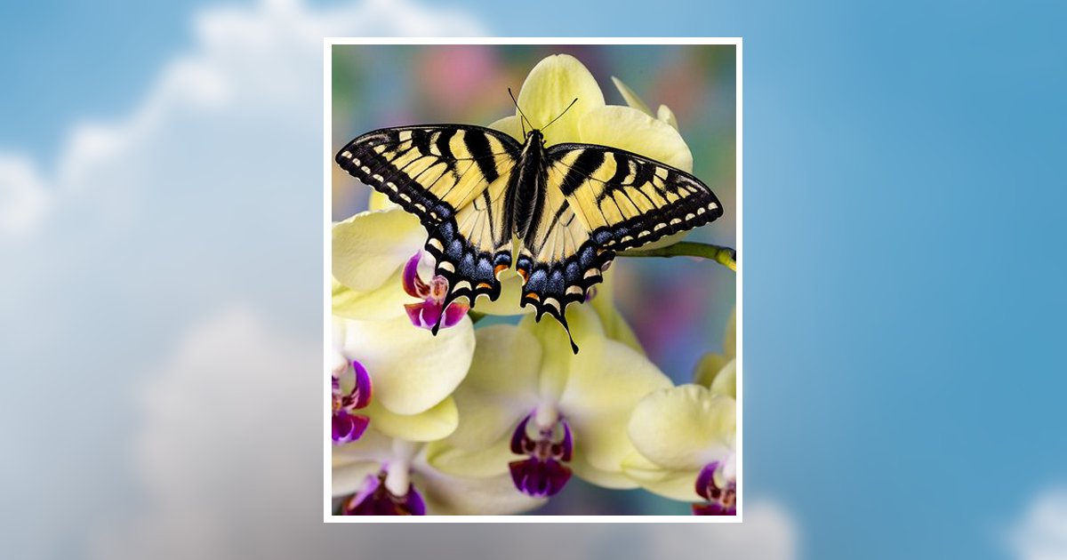 Shianna L. Buehrer Obituary, Bryan, OH