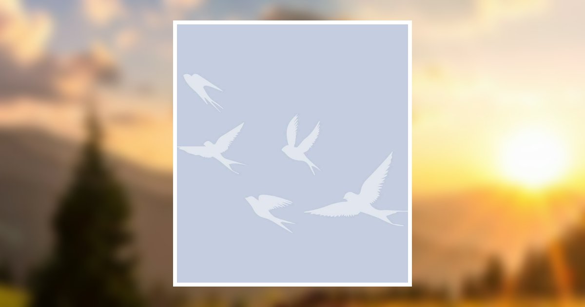 Timothy Domenici Obituary, Salina, UT