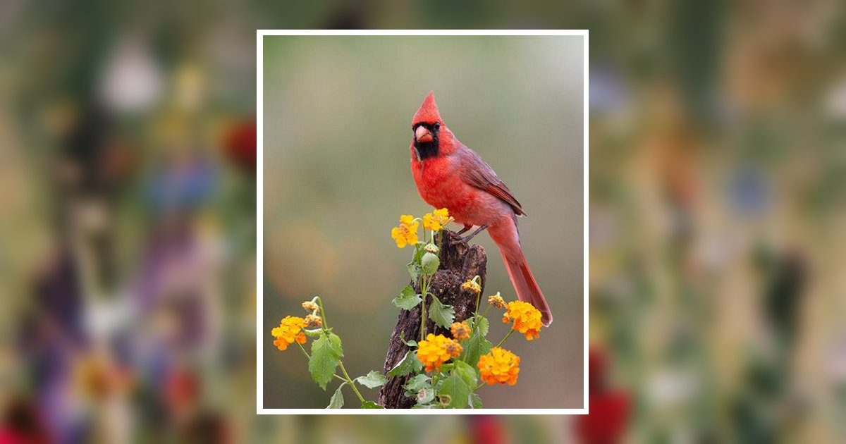 Mary Wiesner Obituary, Ridgway, PA