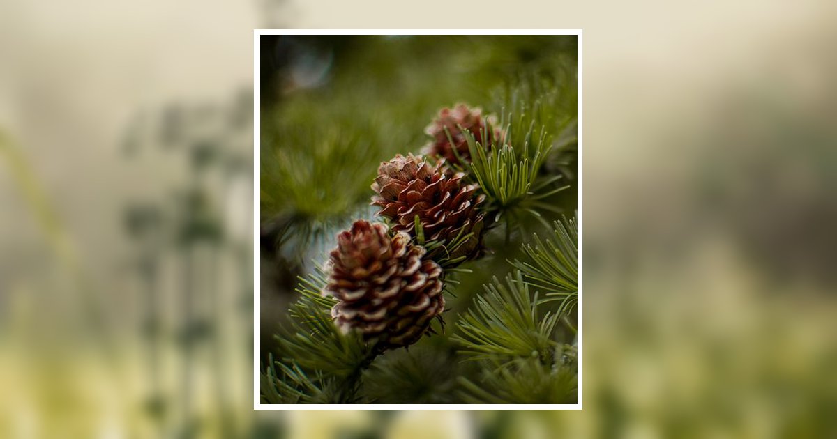 Glen Raymond Street Obituary, Prescott Valley, AZ