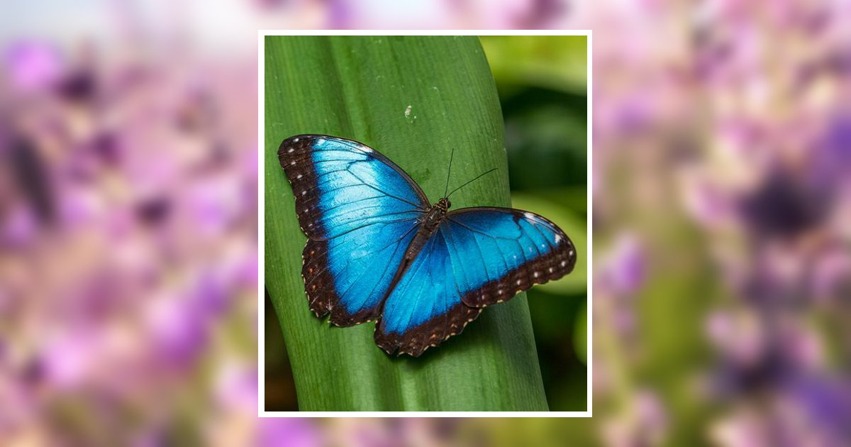 Angela Faith Talbott Obituary, Pineville, KY