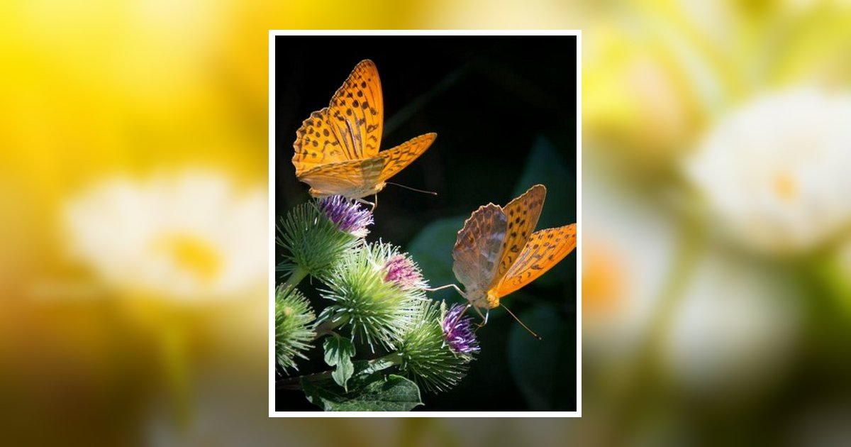 Shelona Lois Mills Wilson Obituary, Ocean Springs, MS