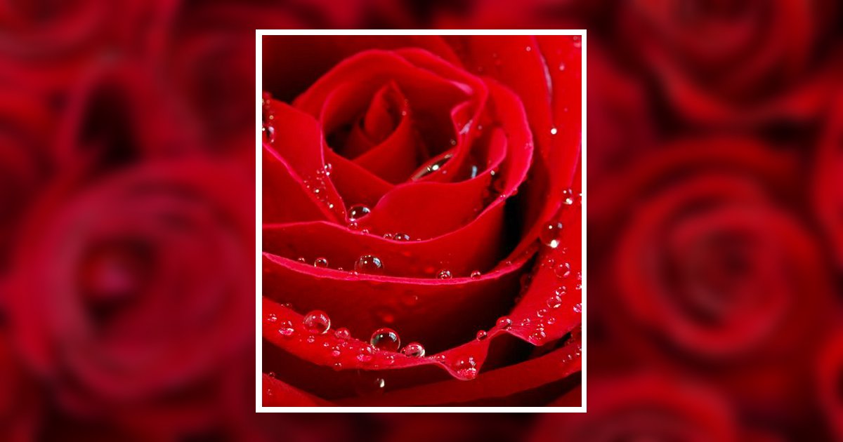 Sharon Lee Dinning Bonners Ferry, ID Obituary