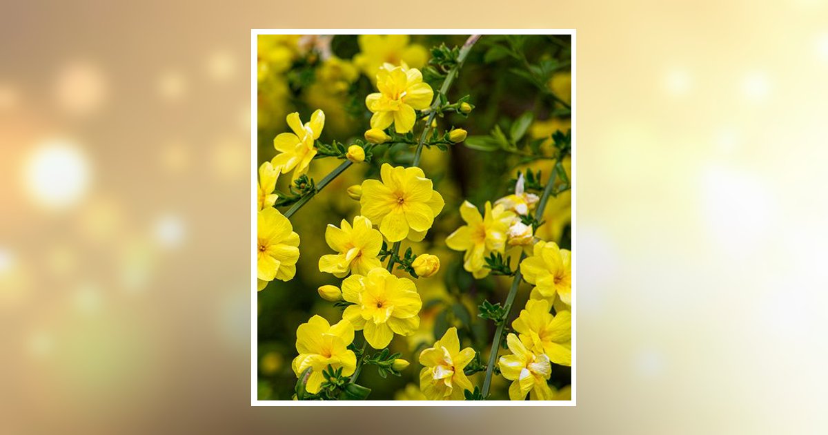 Thelma Smith Bowling Green, KY Obituary