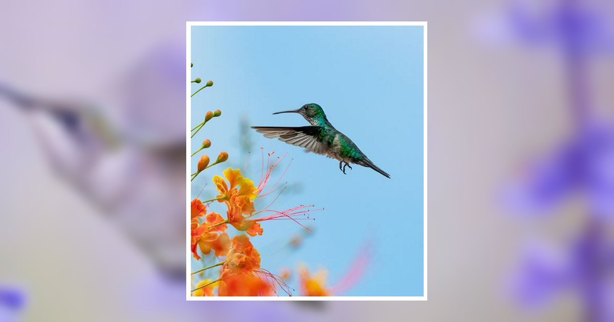 Ruby Velma Cooper Obituary, Dyer, TN