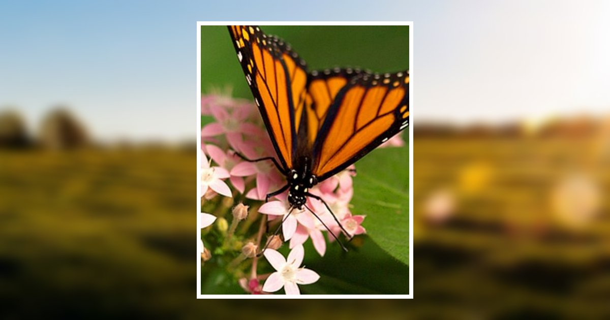 Marian Lee Besel Wallace, ID Obituary
