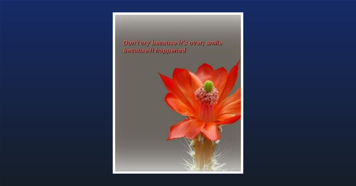 Abraham Isaac Nolasco Obituary, Fort Worth, TX