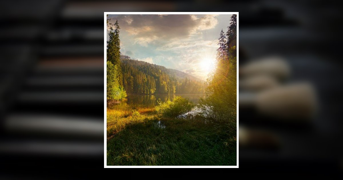 Portrait of David Allen Sheley