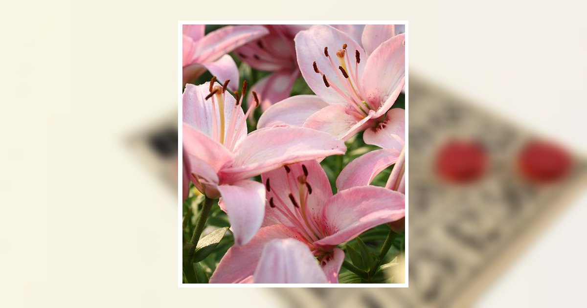 Beverly E. Cobb Myers Obituary, Grove City, OH