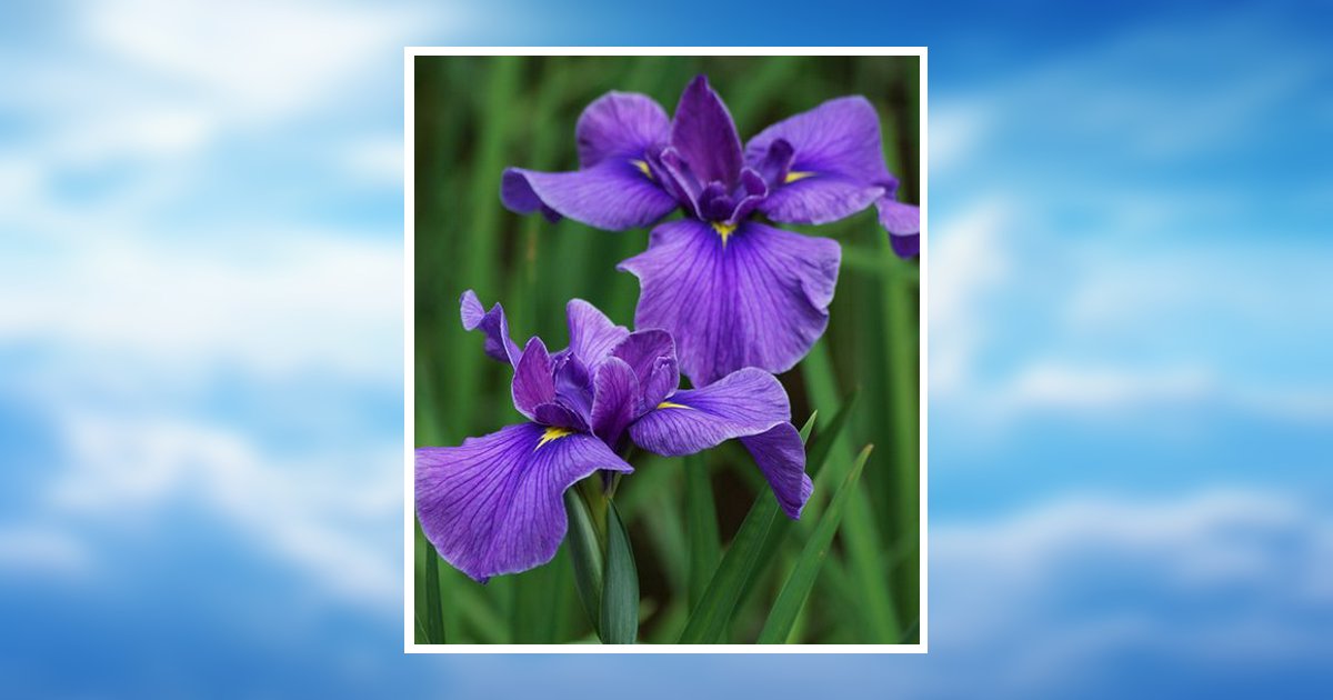 Helen Faye Patten Obituary, Corpus Christi, TX