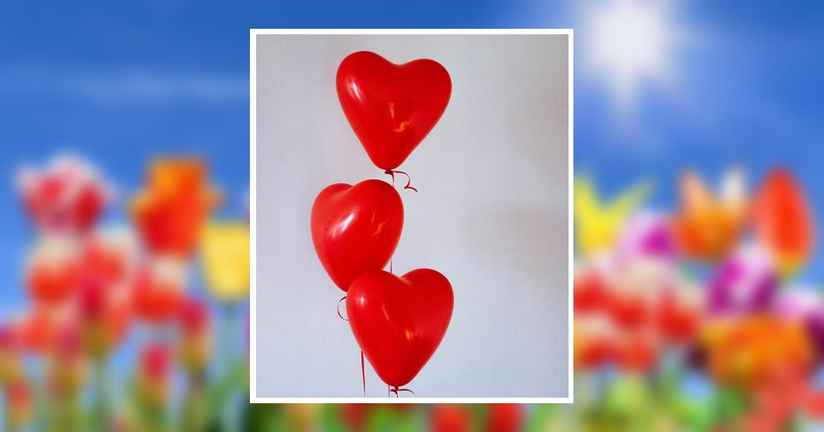 Allison Dionne Toraya Flores Obituary, Kansas City, KS