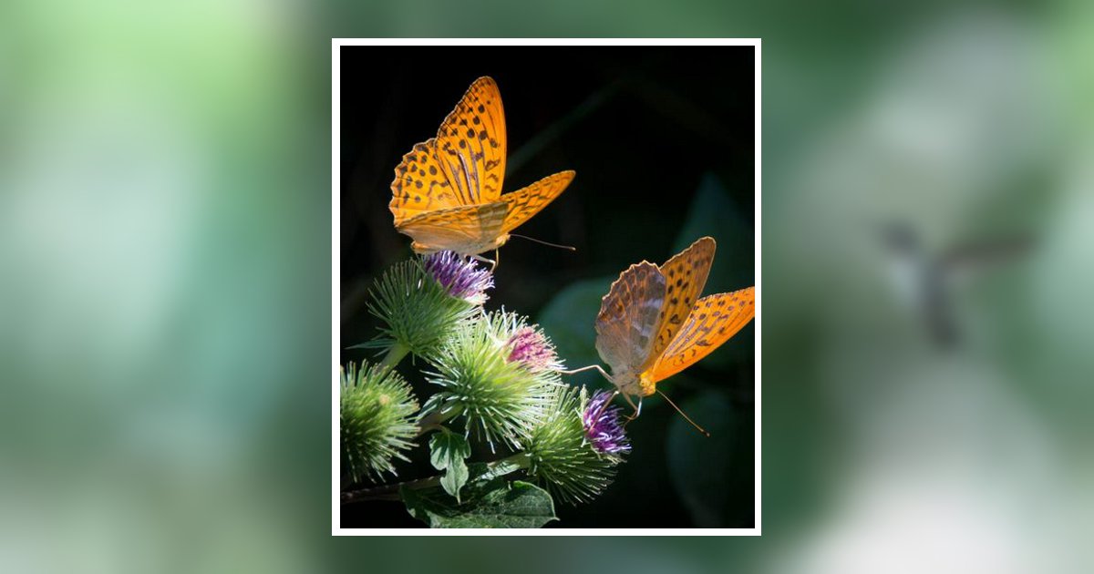 Betty Neal Aberdeen, MS Obituary