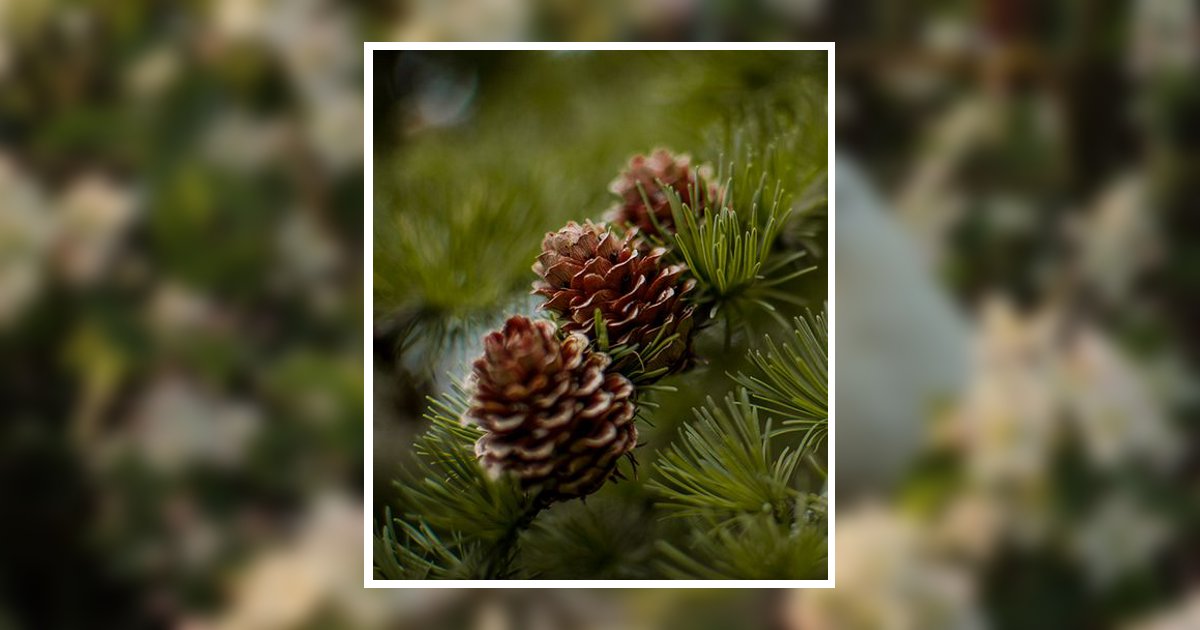 Bonnie Trantham Ross Obituary, Canton, NC