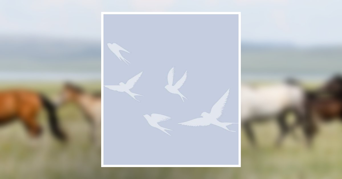 Deborah Ann Kerchal Wauneta, NE Obituary