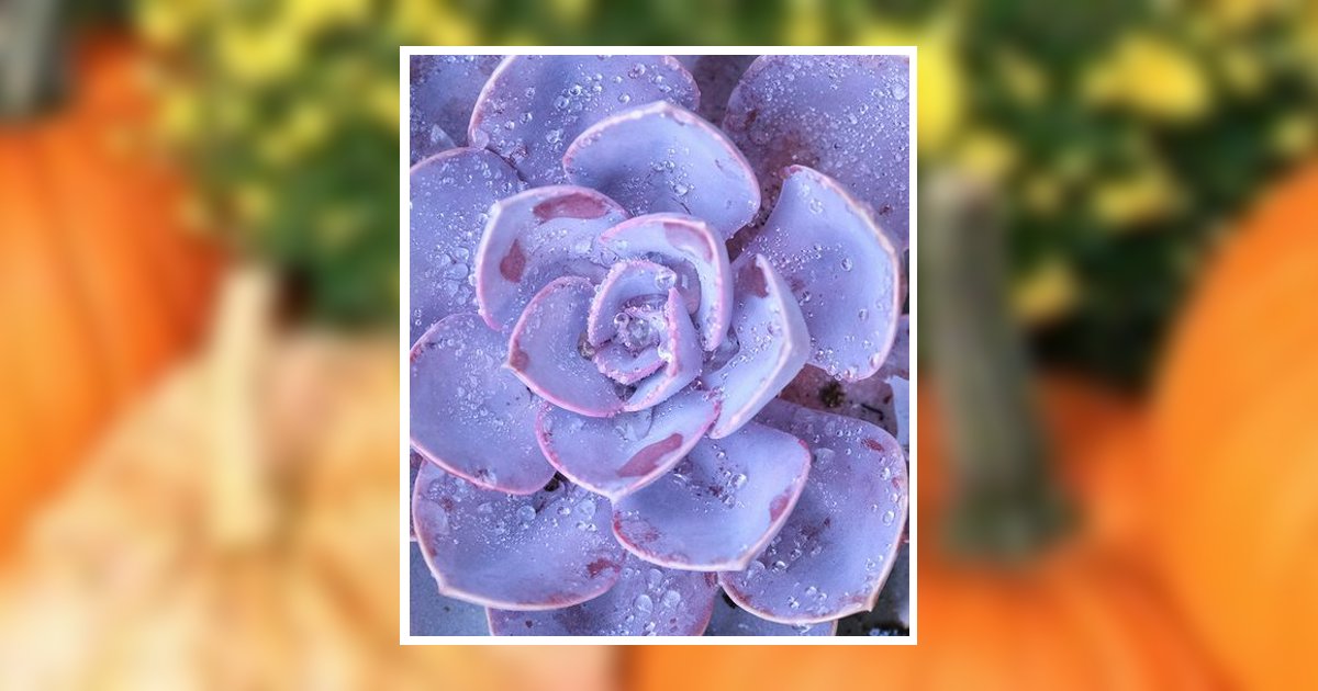 Nancy Willis Rhodes Ward Obituary, Emory, TX