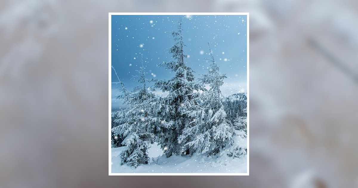 Joseph William Amoroso Jr. "JoJo" Obituary, Holbrook, NY