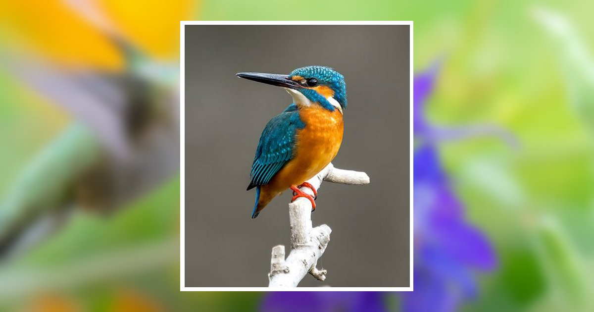 Judith A. Jarvis New Oxford, PA Obituary