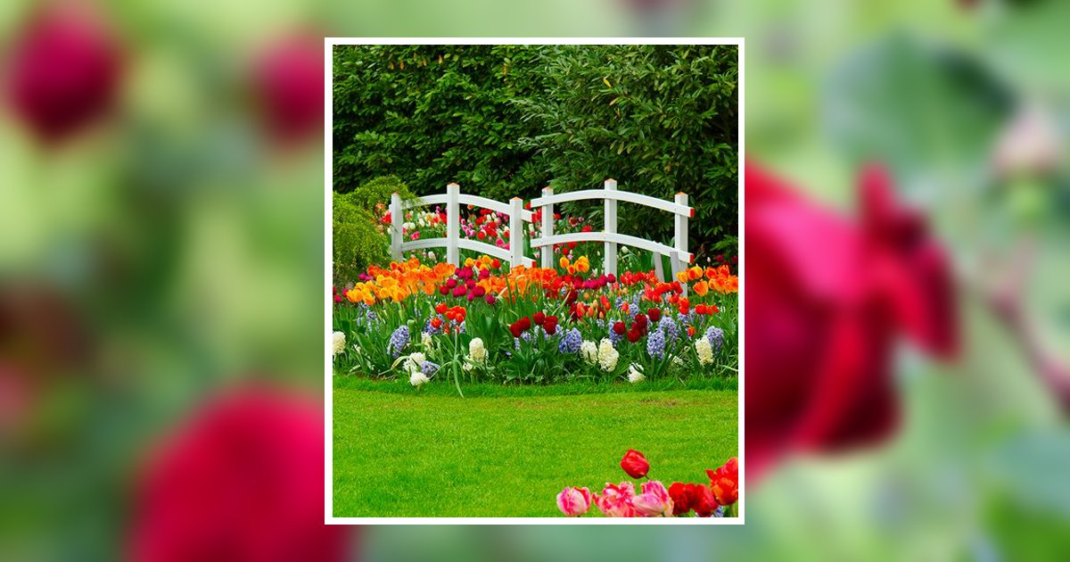 Picture Ilo A. Armstrong