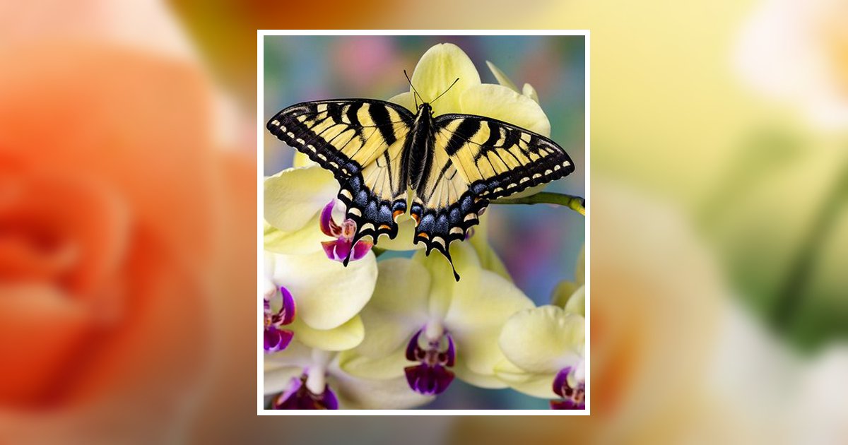 Marilyn Jean Handford Obituary August 3, 2025 - Rader-McDonald-Tidd ...