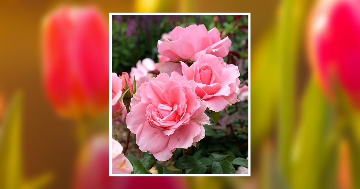 Evelyn Wood Entsminger Obituary, Colonial Heights, VA