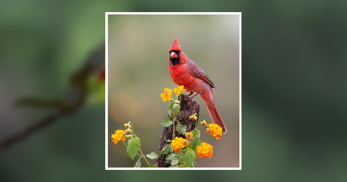 Donald Tukesbrey Waterford, WI Obituary