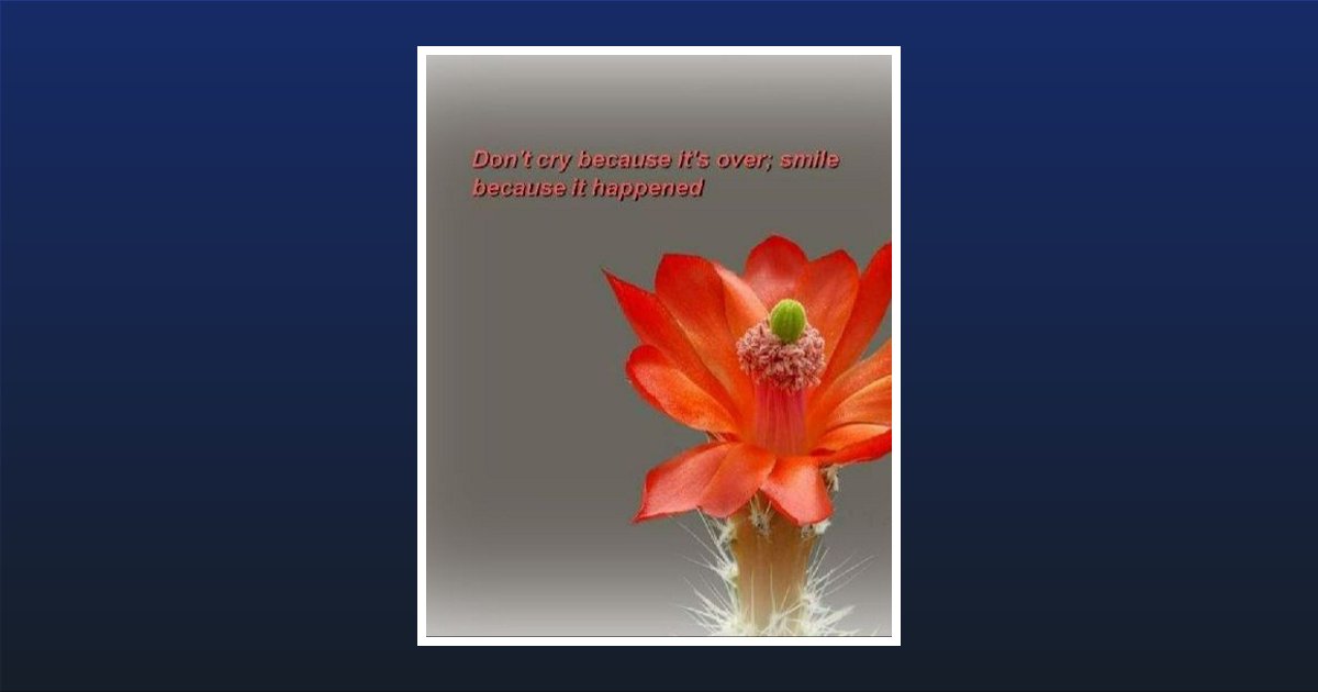 Jodi Marie Wiggins Mcclaskey Obituary, Fort Worth, TX