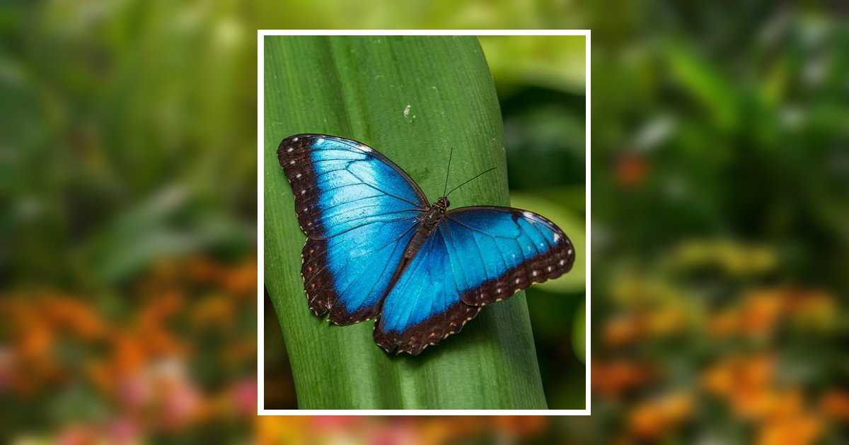 Alice Mae Sweeten Obituary, Dayton, TX