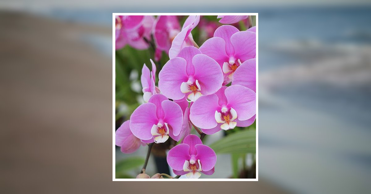 Nancy Lou Rickards Edmond, OK Obituary