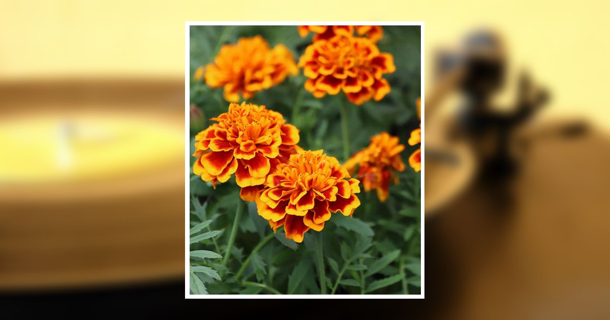 Adrienne Bishop Jarrell Lexington, NC Obituary