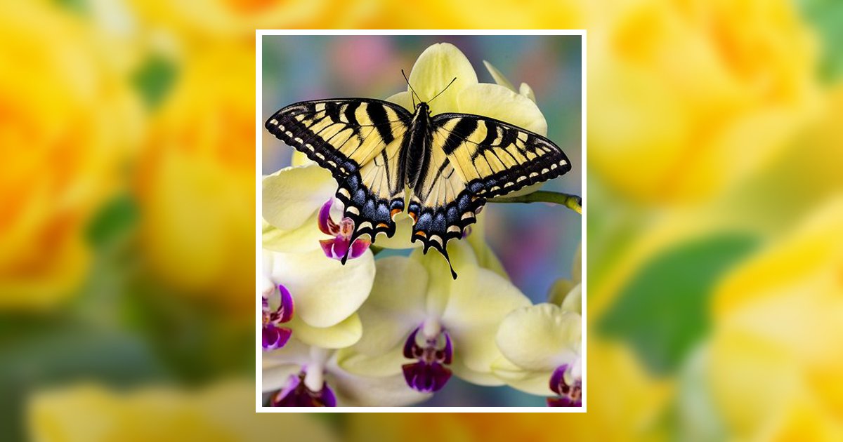 Stephanie Anne Snyder Obituary, Live Oak, FL