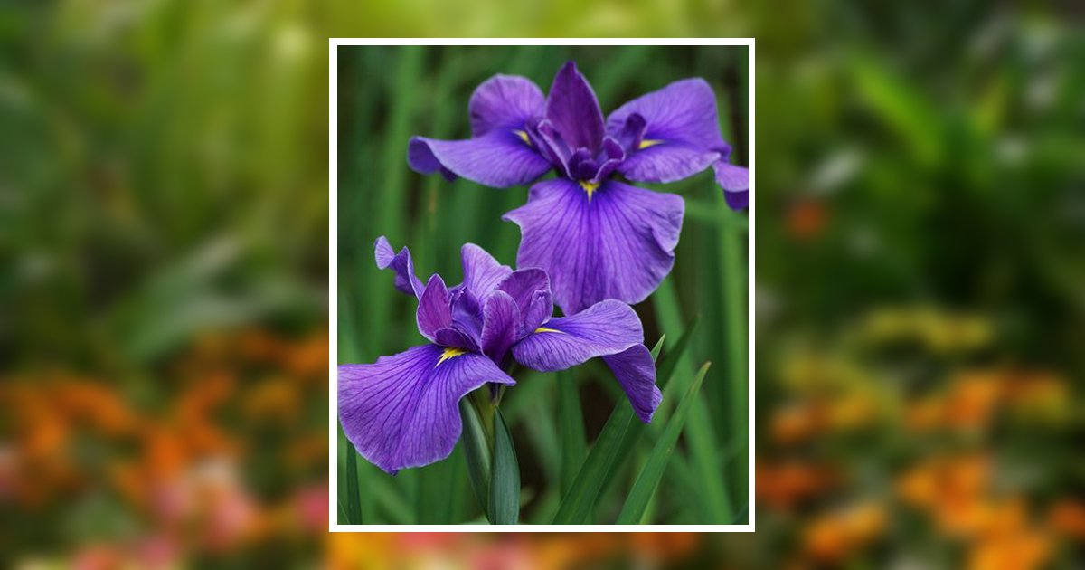 Rebecca Williams Neal Obituary, Fort Mill, SC