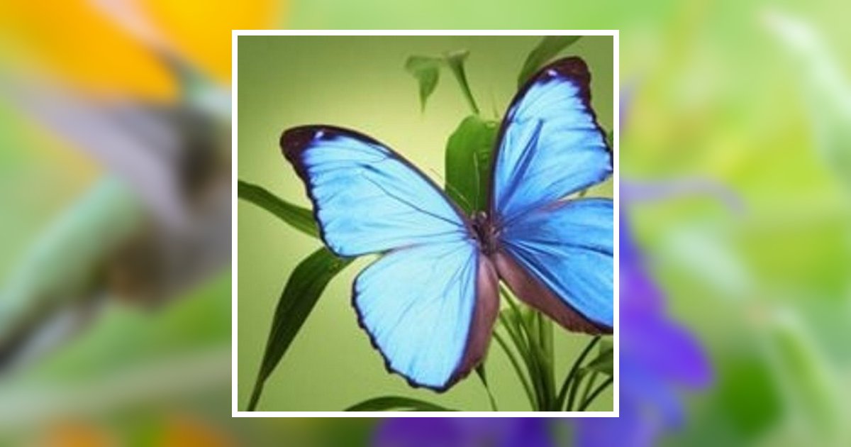 Lesley Ann Zeiler Hindle Obituary, Dravosburg, PA