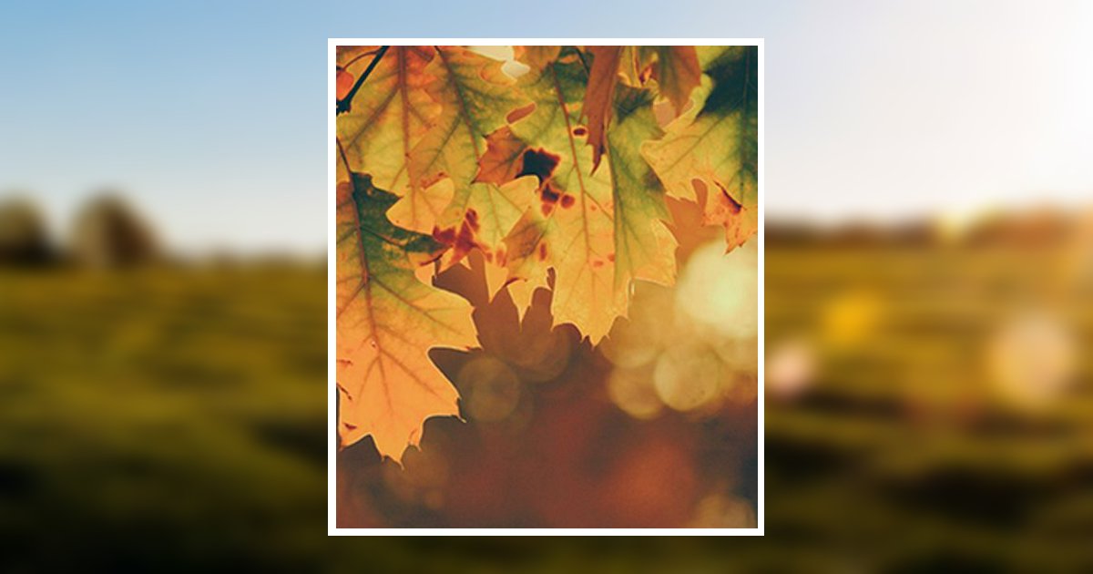 Millicent Williams Obituary 2020 Ward Funeral Homes