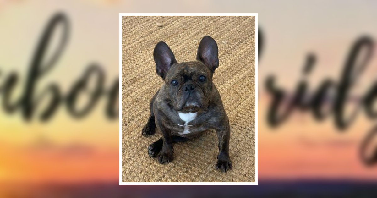 Rupert Cambridge, MD Obituary