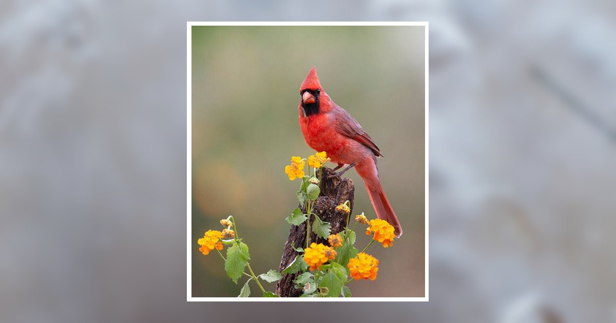 Audeen Greer Obituary, Kemp, TX