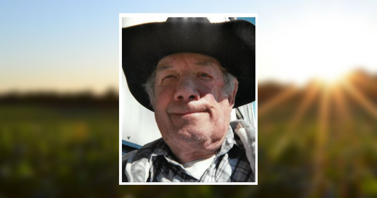 David F. Downing Obituary, Lakeview, OH