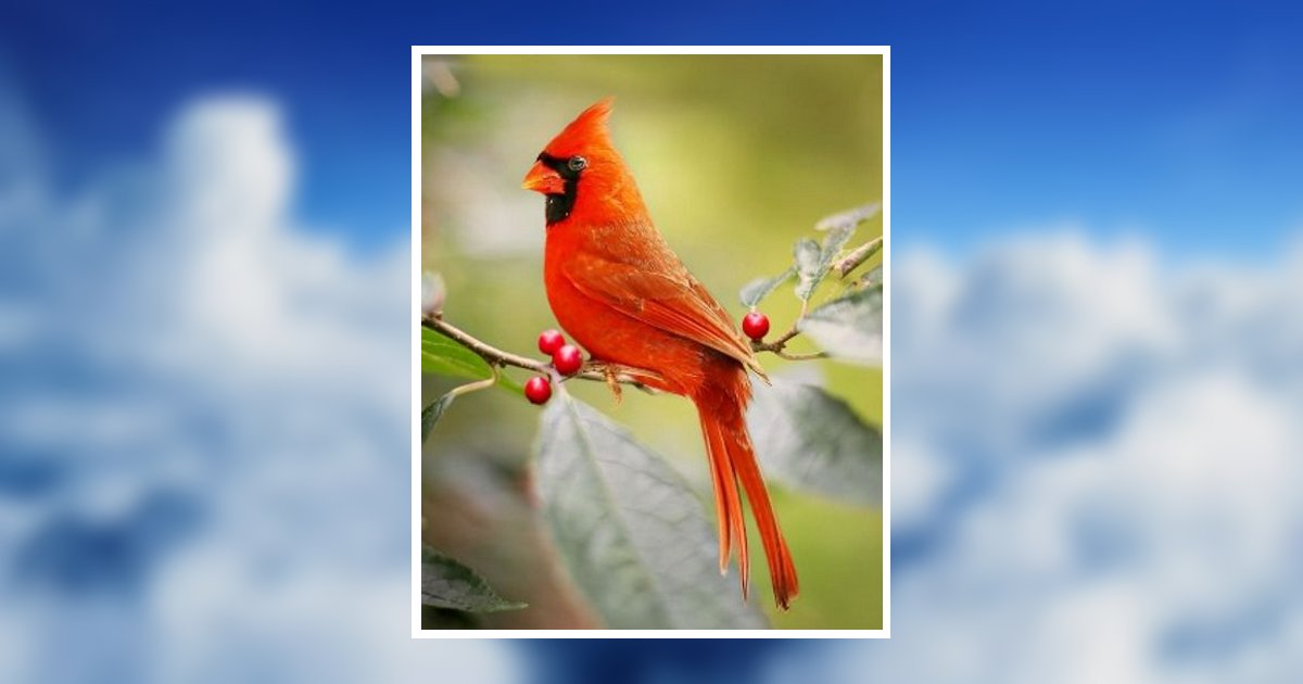 Betty J. Parsons  Callender