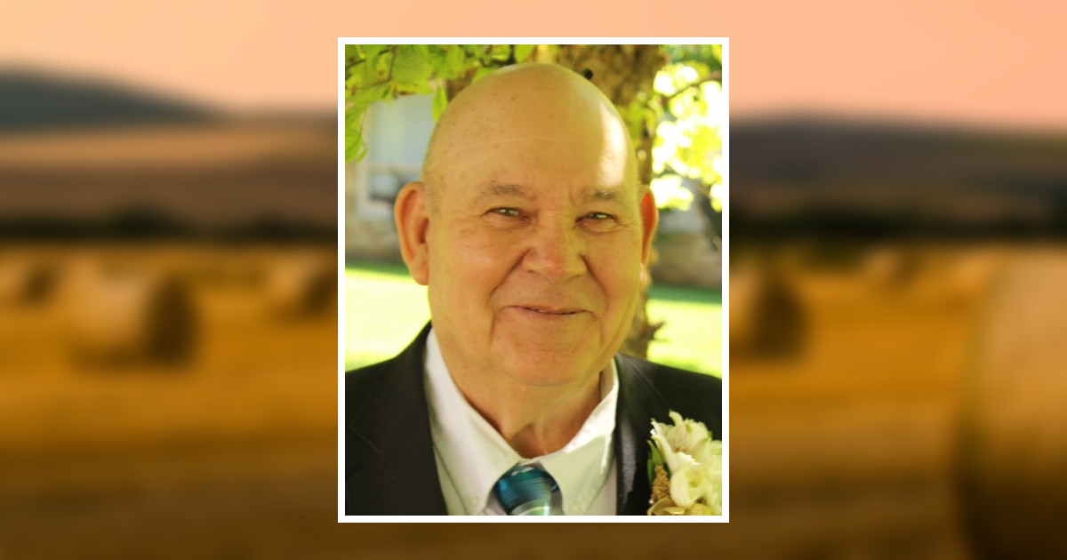 Lloyd D. McCartney Obituary 2022 - Livingston Butler Volland Funeral Home