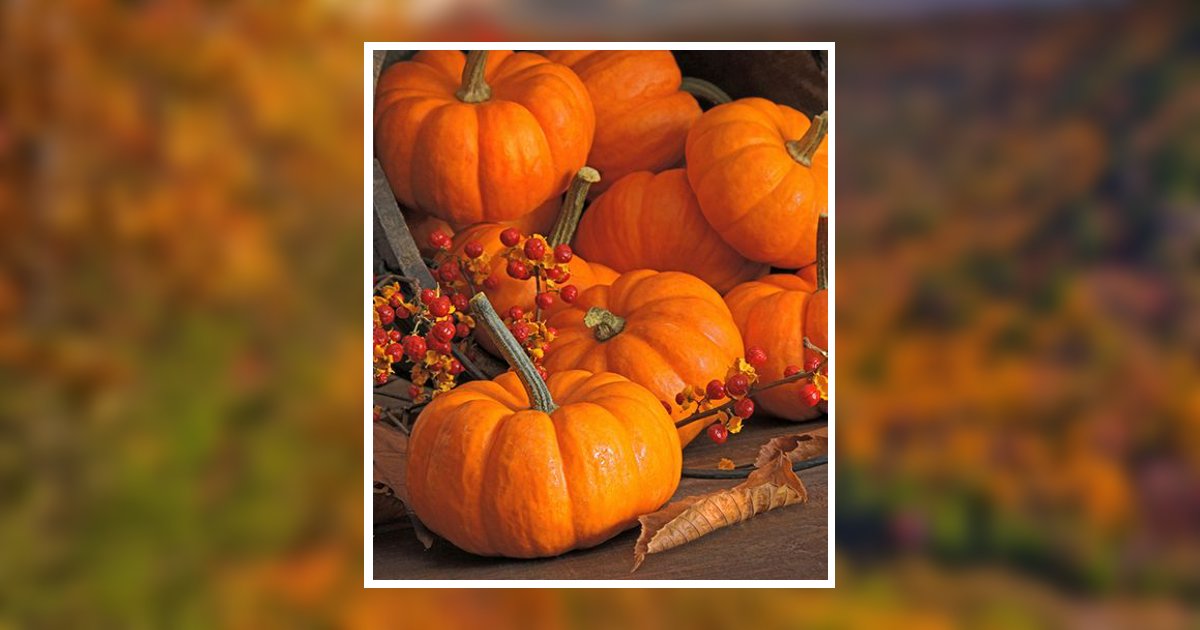 Faye B. Blake Obituary, Dyer, TN