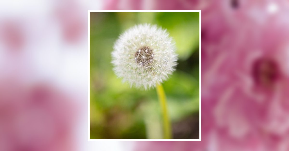 Margaret Annette Hurst Obituary, Holly Pond, AL