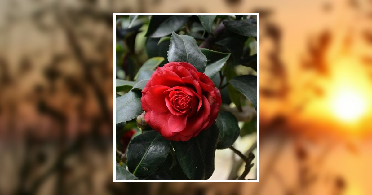 Ruth H. Smith Obituary, Milford, NH